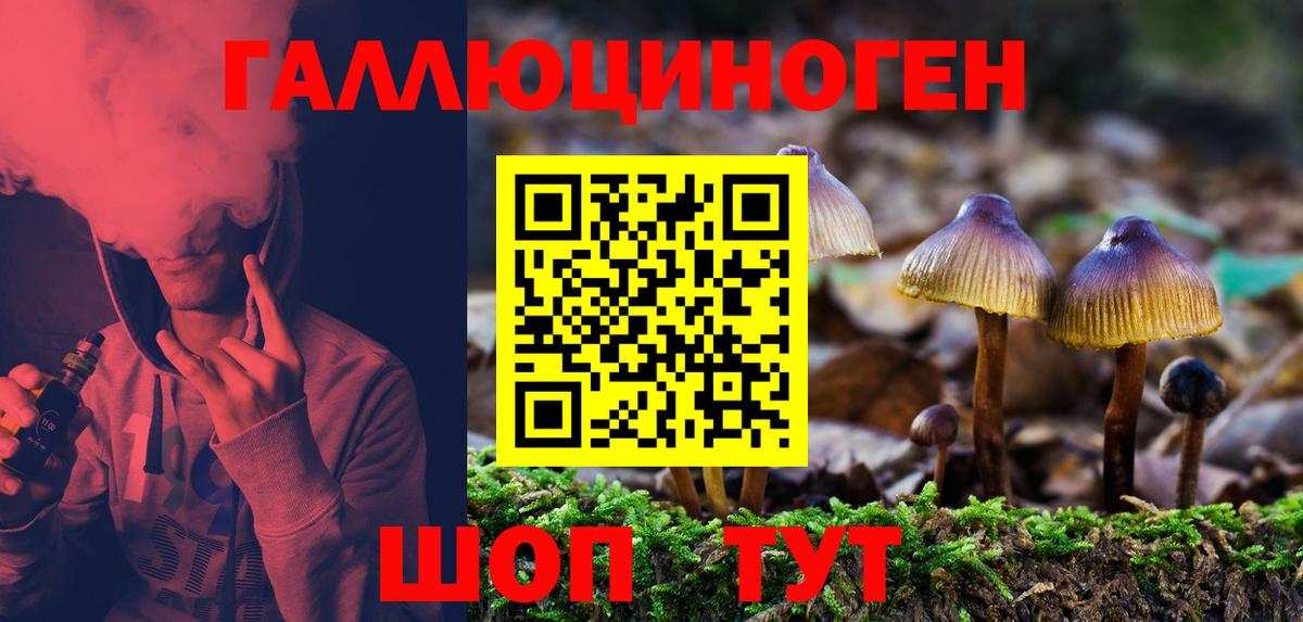 Галлюциногенные грибы мухоморы  Вход с VPN  сколько стоит  Галлюциногенные грибы Magic Shrooms  Нижний Новгород 