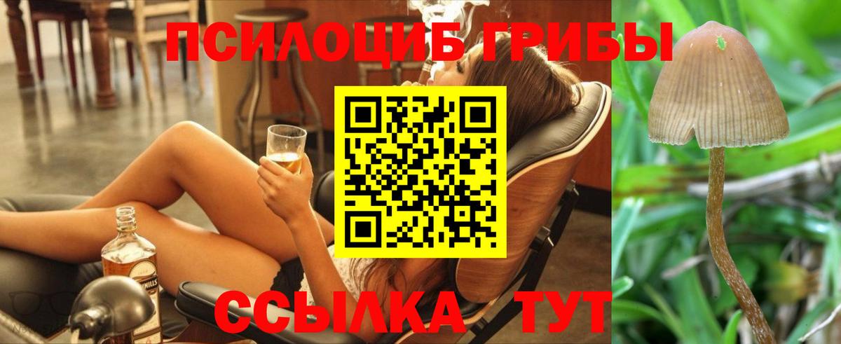 Галлюциногенные грибы Magic Shrooms Нижний Новгород